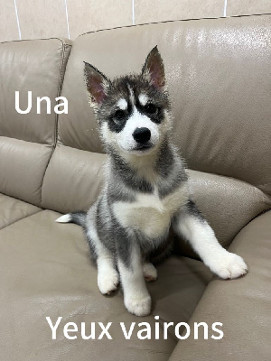 Una